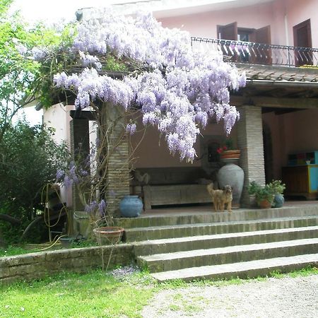 L'Oasi Di Aaron Hotel Formello Exterior foto
